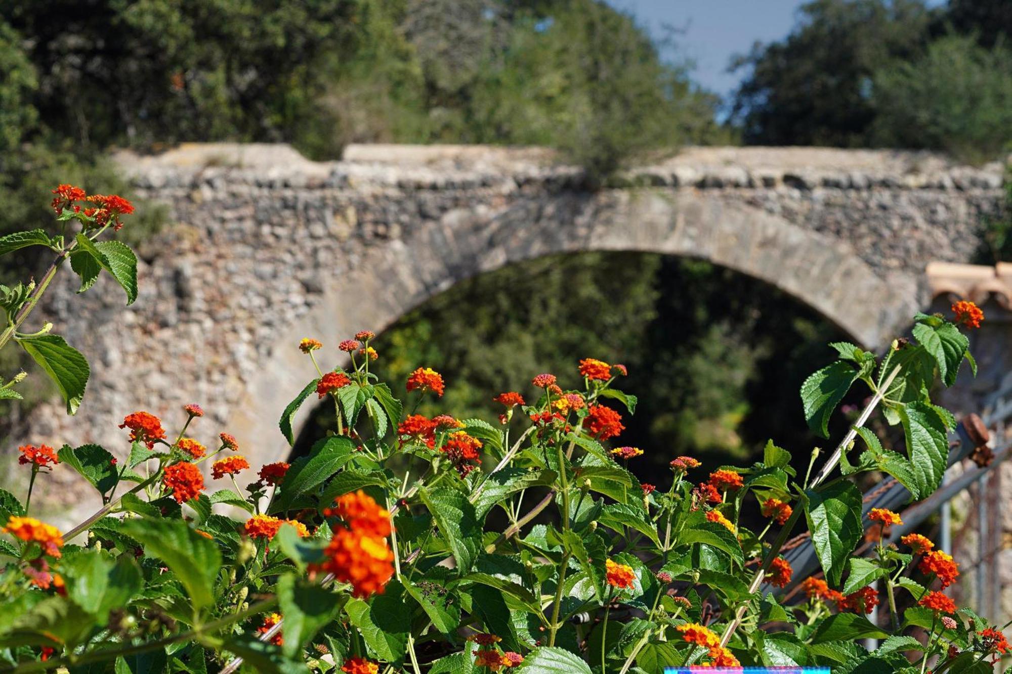 Villa Camp Redo Pollença Εξωτερικό φωτογραφία